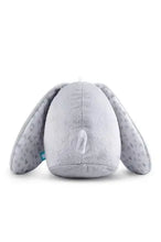 Lade das Bild in den Galerie-Viewer, Häschen grau Premium *personalisierbar* - Happy Giggles